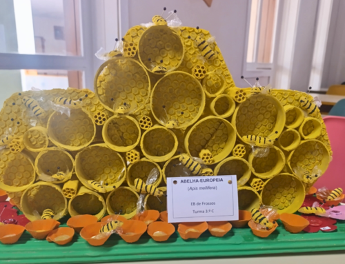 Concurso “Arte com Lixo”  – Resultados