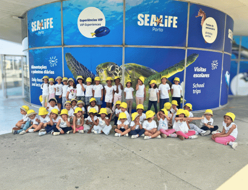 Visita de Estudo ao SEA LIFE Porto pelas crianças do JI Quinta das Hortas