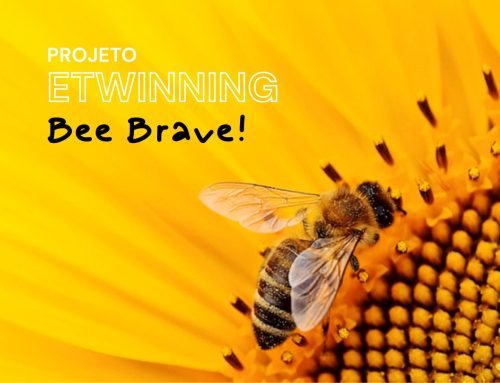 Turma D do 4.º Ano da EB n.º 1 de Real Participa em Projeto Europeu eTwinning