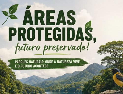 Alunos do 8.º ano participam em palestra sobre Áreas Protegidas