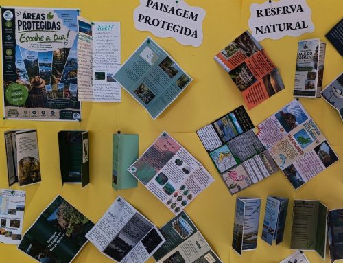 Alunos do 8.º ano promovem exposição sobre as Áreas Protegidas de Portugal